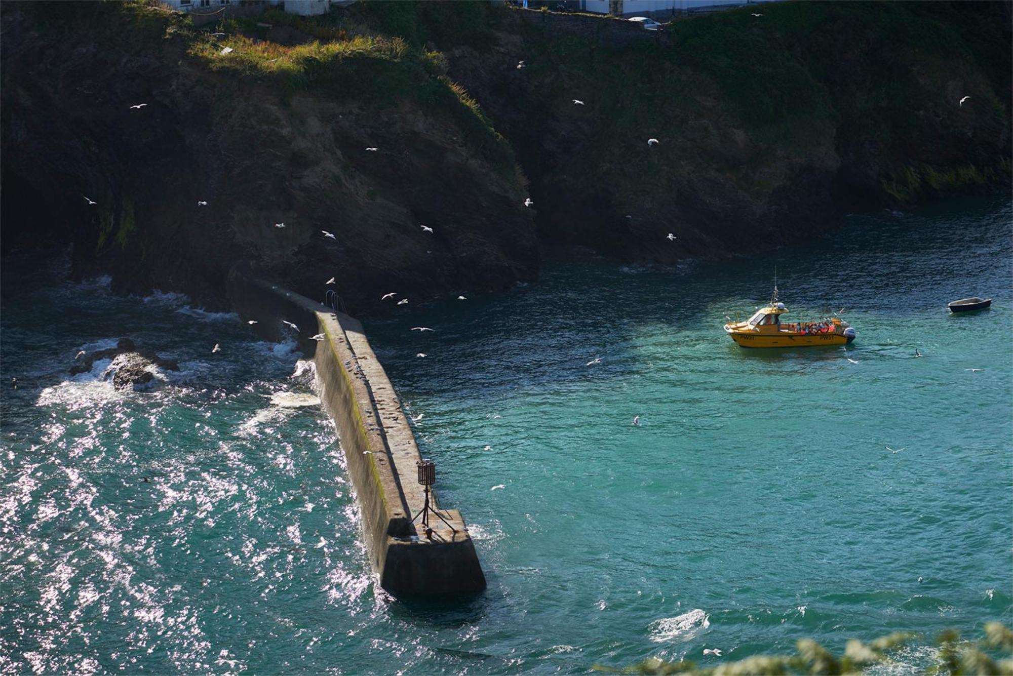 Outlaw'S Guest House Port Isaac Exterior foto